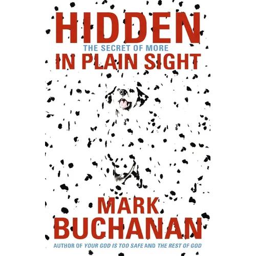 The Hidden in Plain Sight: The Secret of More - Paperback