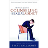 A Biblical Guide to Counseling the Sexual Addict - Paperback