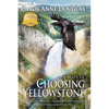 Choosing Yellowstone - Paperback