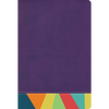 Rvr 1960 Biblia de Estudio Arcoiris, Morado/Multicolor - Imitation Leather