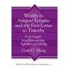 Wealth in Ancient Ephesus and the First Letter to Timothy: Fresh Insights from Ephesiaca by Xenophon of Ephesus - Hardcover