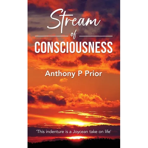 Stream of Consciousness - Paperback