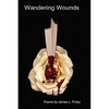 Wandering Wounds - Hardcover