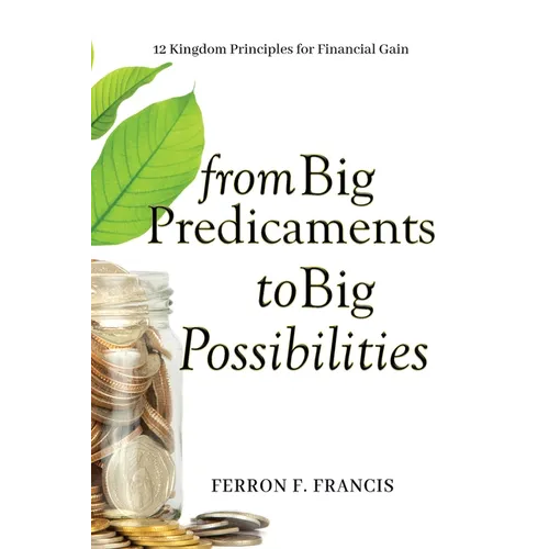 From Big Predicaments to Big Possibilities: 12 Kingdom Principles for Personal Financial Gain - Paperback