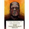 Frankenstein; Or, The Modern Prometheus - Paperback