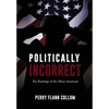 Politically Incorrect: The Rantings of the Silent American - Hardcover