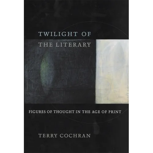 Twilight of the Literary: Figures of Thought in the Age of Print - Paperback