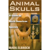 Animal Skulls - Paperback