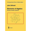 Elements of Algebra: Geometry, Numbers, Equations - Paperback