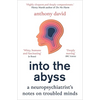 Into the Abyss: A Neuropsychiatrist's Notes on Troubled Minds - Paperback