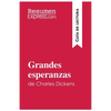 Grandes esperanzas de Charles Dickens (Guía de lectura): Resumen y análsis completo - Paperback
