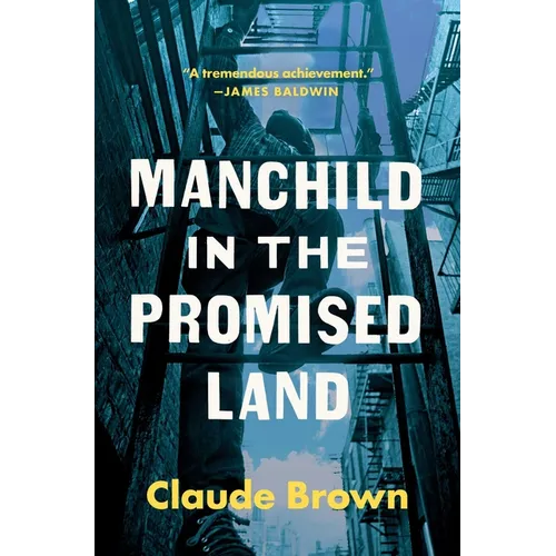 Manchild in the Promised Land - Paperback