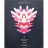 A Beauty Has Come - Paperback