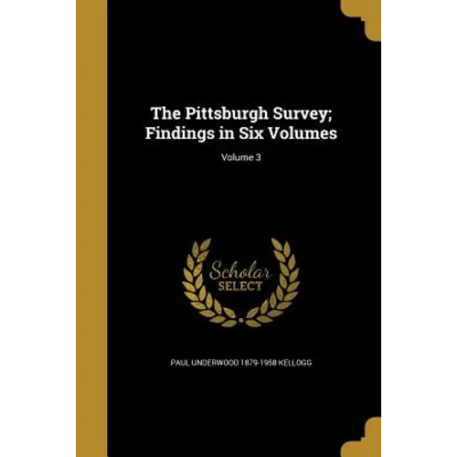 The Pittsburgh Survey; Findings in Six Volumes; Volume 3 - Paperback