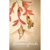 Address Book Hummingbirds - Paperback
