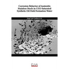 Corrosion Behavior of Austenitic Stainless Steels in CO2-Saturated Synthetic Oil Field Formation Water - Paperback