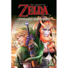 The Legend of Zelda: Twilight Princess, Vol. 11 - Paperback