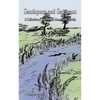 Sandspurs and Sawgrass: A Collection of True Stories from North Florida - Paperback