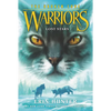 Lost Stars - Paperback