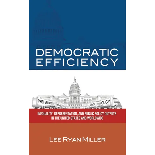 Democratic Efficiency: Inequality, Representation, and Public Policy Outputs in the United States and Worldwide - Paperback