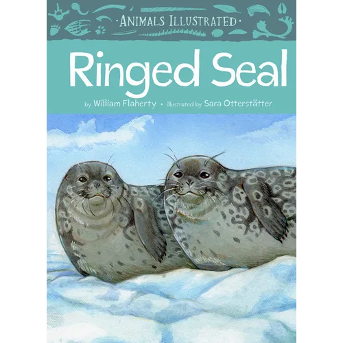 Animals Illustrated: Ringed Seal - Hardcover