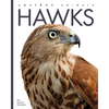 Hawks - Paperback