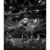 Tomás Saraceno - Paperback