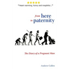 From Here To Paternity: The Diary of A Pregnant Man - Paperback