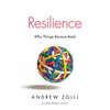 Resilience: Why Things Bounce Back - Paperback