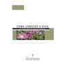 Como Conocer a Dios: Los Aforismos de Yoga de Patánjali - Paperback