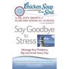 Chicken Soup for the Soul: Say Goodbye to Stress: Manage Your Problems, Big and Small, Every Day - Paperback