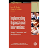 Implementing Organizational Interventions: Steps, Processes, and Best Practices - Hardcover