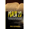 Psalm 23: The Power of the 23rd Psalm, the Lord is my Shepherd and Your Provisions - Paperback