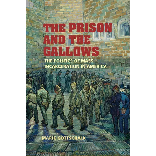 The Prison and the Gallows: The Politics of Mass Incarceration in America - Paperback