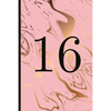 16: A Beautiful 16th Birthday Gift and Keepsake to Write Down Special Moments - Paperback