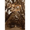 Whiskey Road - Paperback