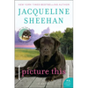 Picture This - Paperback