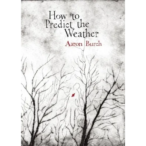 How to Predict the Weather - Paperback