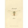 Spindrift Love - Paperback