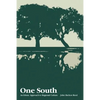 One South: An Ethnic Approach to Regional Culture - Paperback