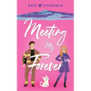 Meeting My Forever - Paperback