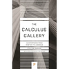 The Calculus Gallery: Masterpieces from Newton to Lebesgue - Paperback