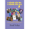 A Little Bit Me, A Little Bit You 2: The Monkees From International Fan Perspectives - Paperback