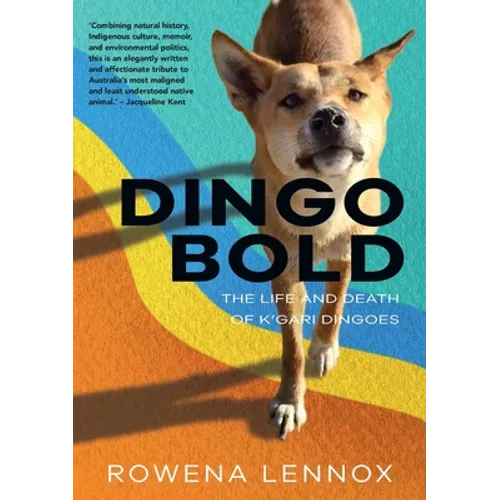 Dingo Bold: The Life and Death of K'gari Dingoes - Paperback