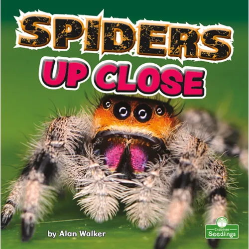 Spiders Up Close - Paperback