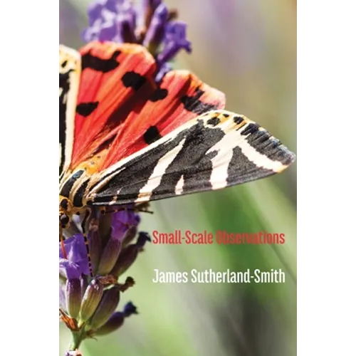Small-Scale Observations - Paperback