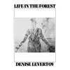 Life in the Forest - Paperback