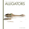 Alligators - Paperback