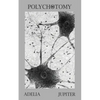 Polychotomy - Paperback