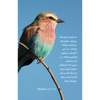 General Worship Bulletin: Your Heavenly Father Knoweth (Package of 100): Matthew 6:31-32 (Kjv) - Paperback